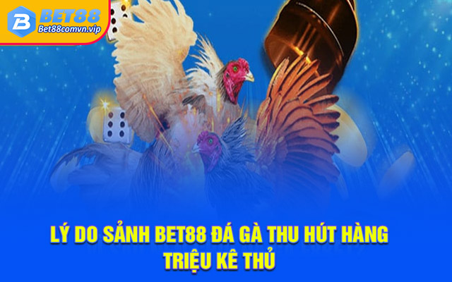 7 ưu điểm giúp Bet88 đá gà thu hút khách hàng